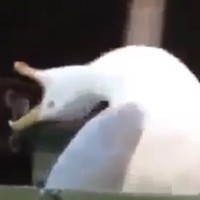 Profile Picture of Andrea Lourdes Canizales Lazcano (@andrea-lourdes-canizales-lazcano) on Quora