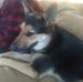 Profile Picture of Michael J Tuzzolo (@michaelj.tuzzolo.5) on Facebook