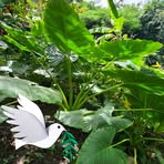 Profile Picture of Gladys Cintron (@gladys.cintron.965) on Facebook