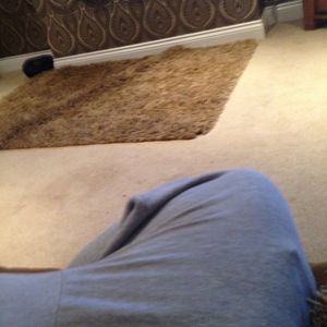 Profile Picture of Chris Towell (@towell123c) on Myspace