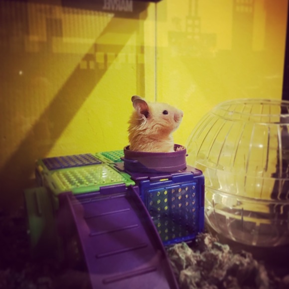 Profile Picture of Estee Mohrs (@1979estee) on Poshmark