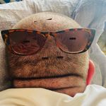 Profile Picture of Nermin Harambasic (@nerminthenerminator) on Instagram