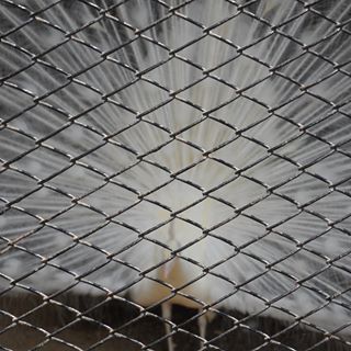 Profile Picture of Janice Joshua (@janice.joshua.10) on Facebook