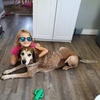 Krista Manley - Tiktok Profile Picture of Krista Manley (@@user3994552104476) on Tiktok