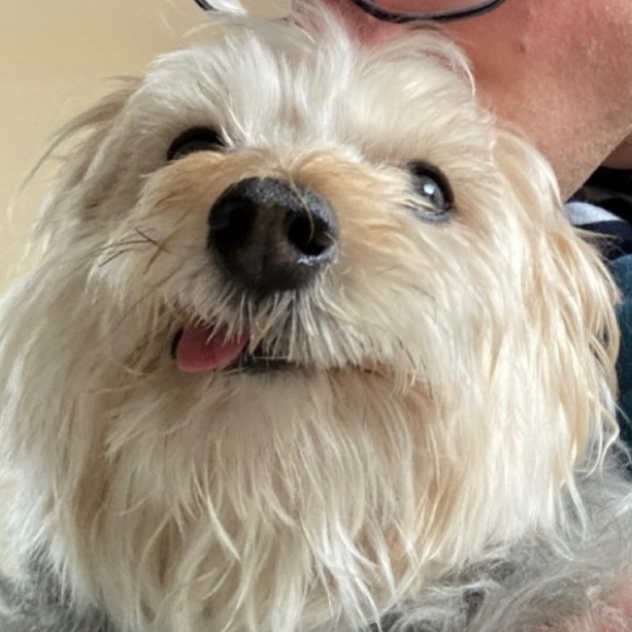 Profile Picture of Daniel Kussy (@dkussy) on Poshmark