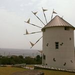 K. Inugai. - Instagram Profile Picture of K. Inugai. (@dogcpp19900) on Instagram