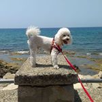 Profile Picture of Maria De Caro (@maria.decaro.14) on Instagram