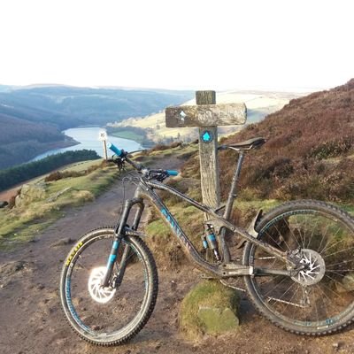 Profile Picture of Tim Ireland (@Tim_Ireland) on Twitter