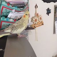 Profile Picture of Giuseppe Alaimo (@giuseppe-alaimo) on Quora