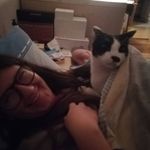 Profile Picture of Chiara Labate (@itschiarahere_) on Instagram