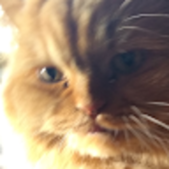 Profile Picture of Sponge Menning (@queensponge) on Poshmark