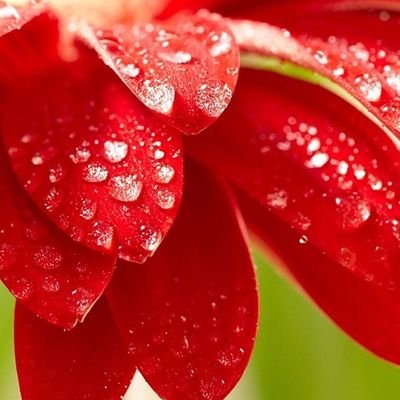 Profile Picture of Marcelle R. McKenzie (@MarcelleRMcKen2) on Twitter