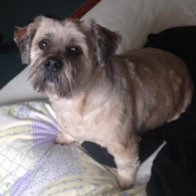 Profile Picture of Darn Nelson (@DazaBoY88) on Twitter