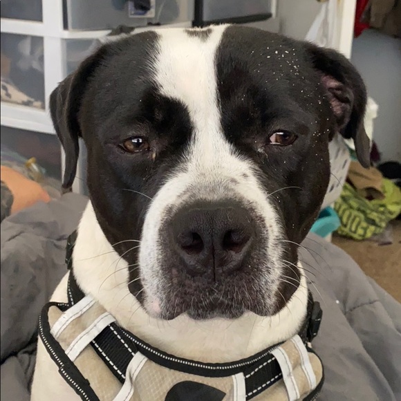 Profile Picture of Rene Alvarez (@alvarezrefa) on Poshmark