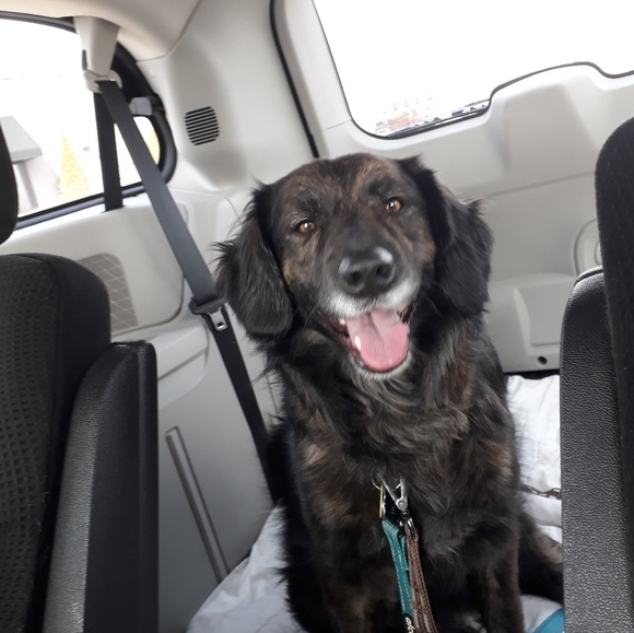 Profile Picture of Julia Boehme (@julia_boehme) on Poshmark