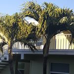 Profile Picture of Sandy Cronin Hjortland (@hjortlandsandy) on Instagram