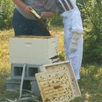 Profile Picture of Scott Lealand (@scottthebeekeeper) on Instagram