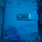 Profile Picture of Gillian Bunting (@Gillian-Bunting) on Facebook