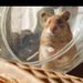 Profile Picture of Amy Marquardt (@joyfulmama25) on Pinterest