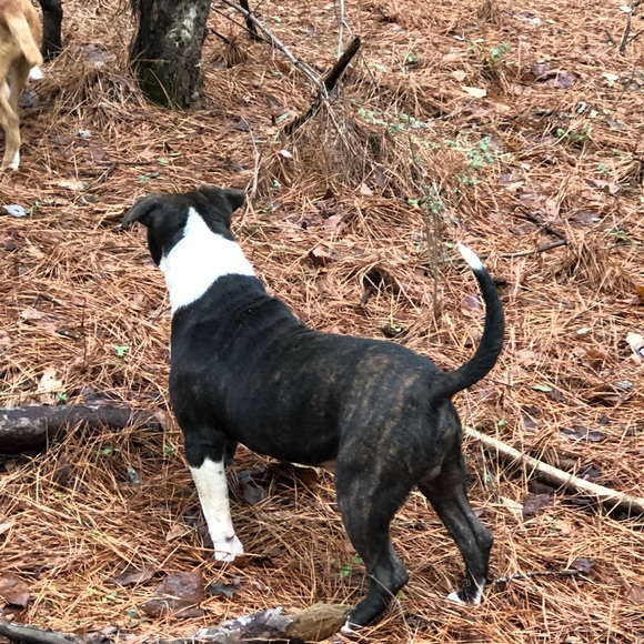 Profile Picture of James Day (@slack2600) on Poshmark