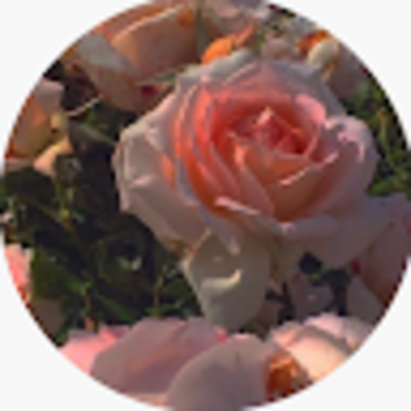 Profile Picture of Emma Allistone (@emmaallistone3) on Poshmark