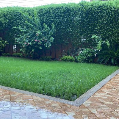 Profile Picture of Moawiah Awadallah (@MoawiahAwadall1) on Twitter