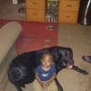 Profile Picture of Carlton Jacobs (@@user3302632109963) on Tiktok