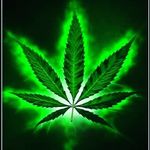 Profile Picture of Aleandro Junior (@aleandro.junior.9216) on Instagram