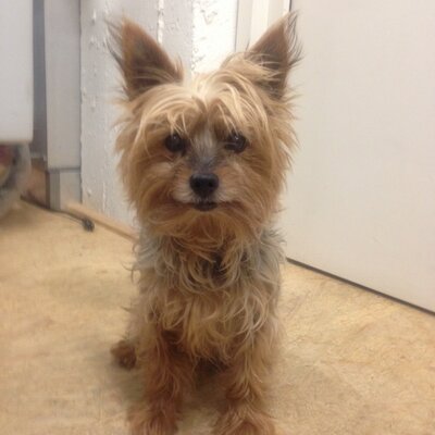 Peter Bickel - Twitter Profile Picture of Peter Bickel (@PitschBickel) on Twitter