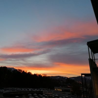 Profile Picture of Theresa Maier (@_theresa_maier_) on Twitter
