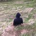 Profile Picture of Nathan Tkachuk (@nathan.tkachuk.1) on Facebook