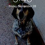 Profile Picture of Bret Robert Dossey (@bretdossey) on Instagram