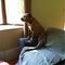 Profile Picture of Dennis Cogley (@dennis.cogley.16) on Facebook