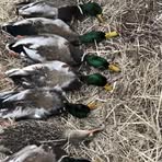 Profile Picture of Austin Jayce Crittendon (@austin.jayce.crittendon) on Facebook