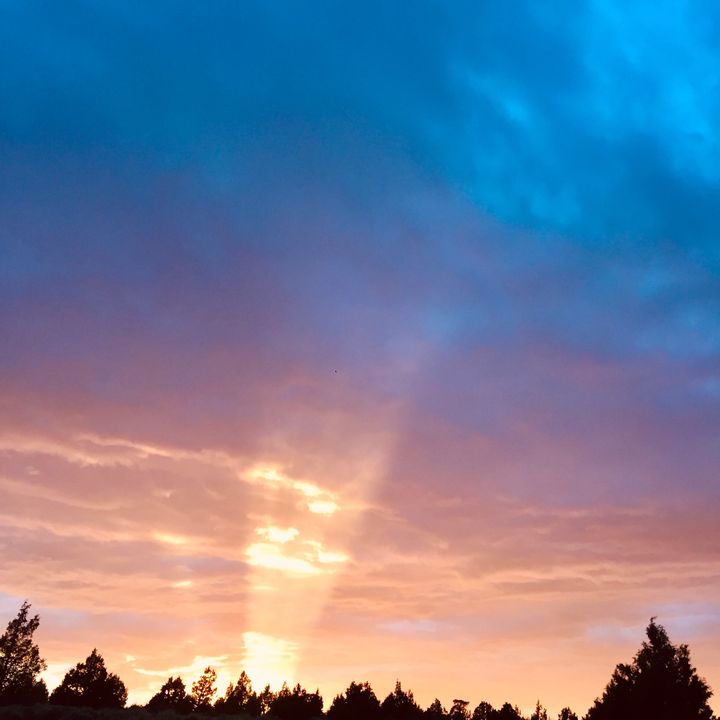 Profile Picture of Bo Eugene (@boeugenenorhagen) on Tiktok