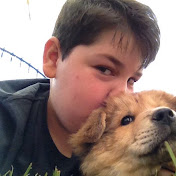 Profile Picture of Adam Zeidan (@adamzeidan437) on Youtube