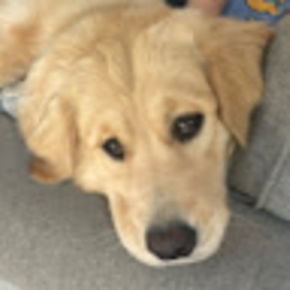 Profile Picture of Ellie Washecka (@washeckaellie) on Poshmark