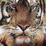Profile Picture of Jeferson Luis (@jeffimeloa2016) on Instagram