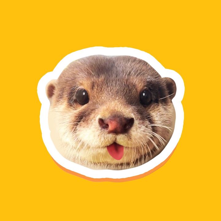 Profile Picture of Marcelldegen🦦 (@marcelldegen) on Tiktok