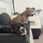 Profile Picture of Jeremy Jozwiak (@dancingforrain13) on Instagram