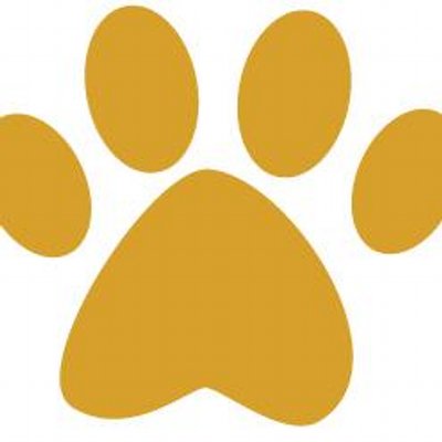 Profile Picture of Dave Rave (@DaveRave17) on Twitter