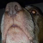 Marshallpowell - Instagram Profile Picture of Marshallpowell (@marshallpowell1914) on Instagram