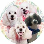 Profile Picture of Mel, Nina, Lua, Billy e Bruno (@zoodamari) on Instagram