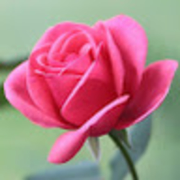 Profile Picture of Adam Whitehurst (@adw2356) on Poshmark