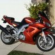 Profile Picture of Eric Schauman (@seftonbass1) on Youtube