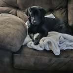 Profile Picture of Bill Libengood III (@bill.libengood) on Facebook