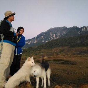 Profile Picture of Adam Warlock (@@Adam__Chai) on Twitter