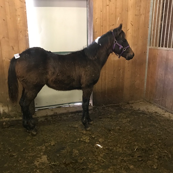 Profile Picture of Amanda Cope (@akcope) on Poshmark