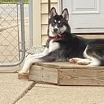 Profile Picture of Laurie Piper (@laurie.piper.813196) on Facebook