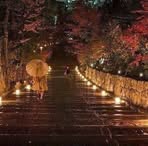 Profile Picture of Dina Abu Rmaileh (@dina.aburmaileh) on Facebook